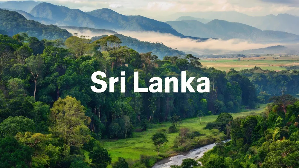 Forested hills and open valley in Sri Lanka